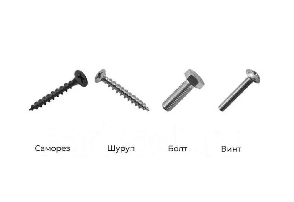 Разбираемся в отличиях шурупа от самореза, болта и винта